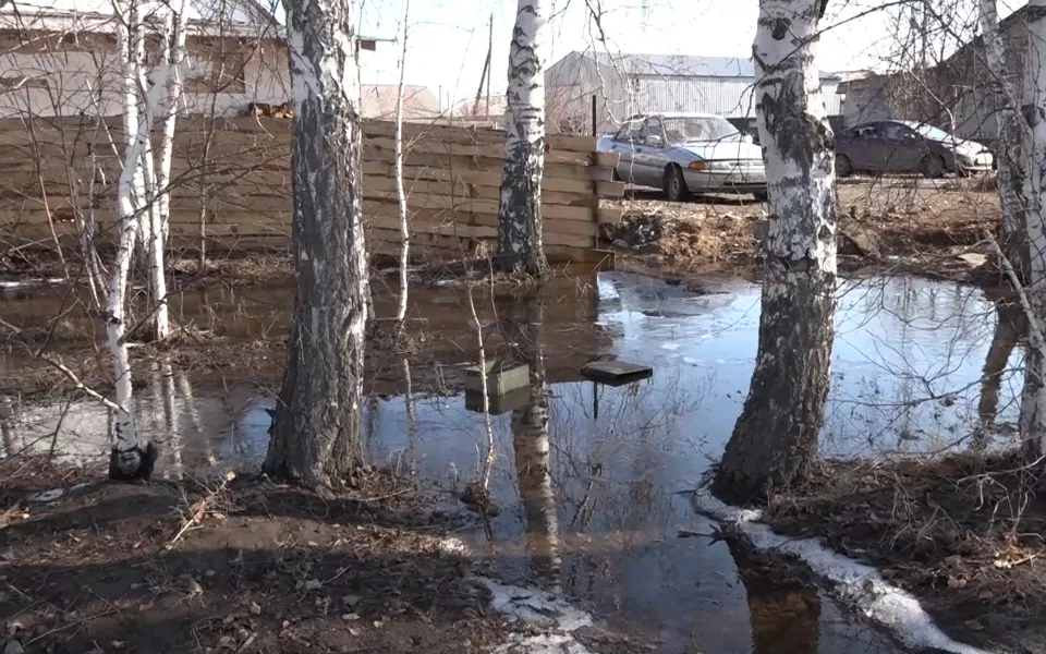 Более 13 тысяч домов в Алтайском крае могут пострадать из-за паводка