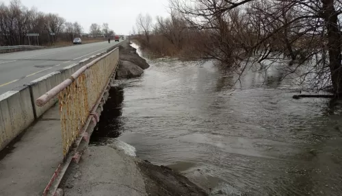 В Рубцовске передают штормовое предупреждение из-за подъема уровня воды в реке