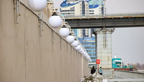 Весеннее солнце прогреет Алтайский край 25 марта до +8 градусов