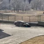В Барнауле ночью 10 апреля сгорел новый автомобиль