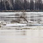 Вскрытие рек в Алтайском крае произойдет раньше обычного