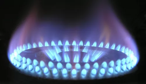 В Молдавии нашли альтернативный источник энергии на замену российскому газу