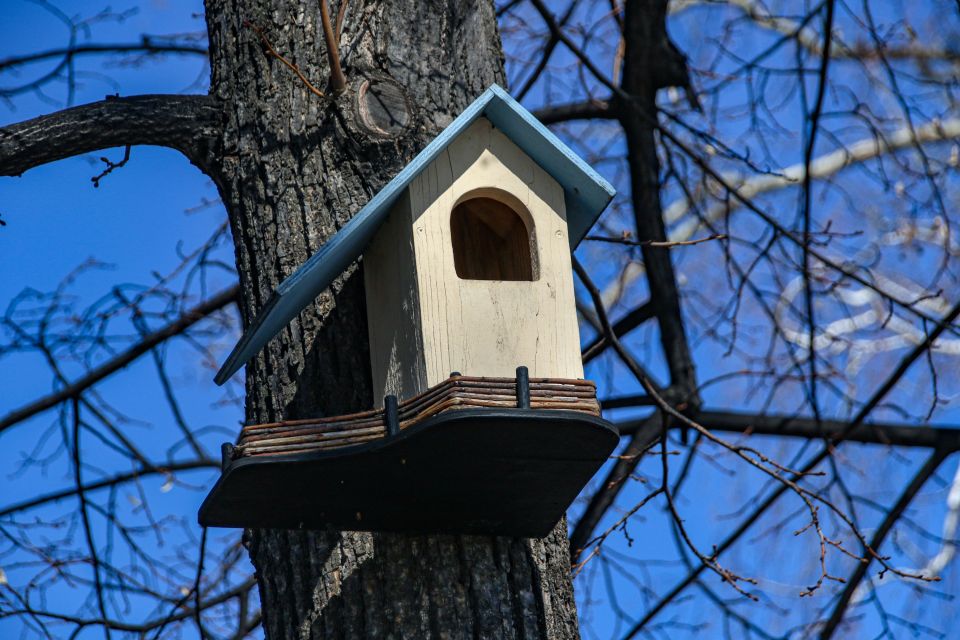 Нагорный парк, весна