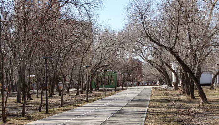 Два барнаульских парка закроют на обработку от клещей