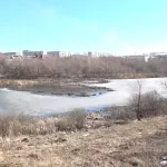 Барнаульцы выбирают название озеру, которое пострадало от нечистот