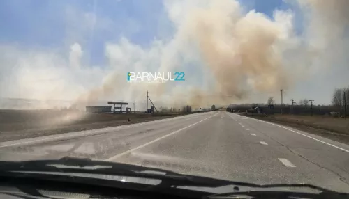 Дым издалека: в Калманском районе горят поля возле трассы