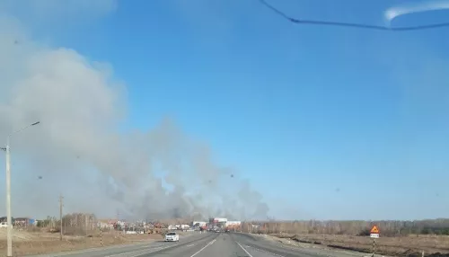 Сухая трава загорелась вдоль Чуйского тракта рядом с Новоалтайском