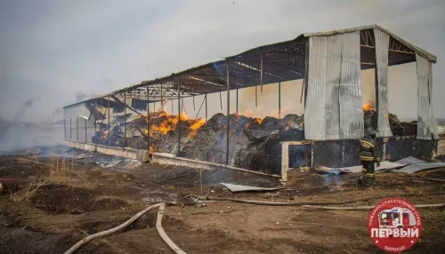 Крупный пожар произошел на ферме в алтайском районе