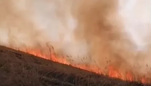 Пожар в районе Горно-Алтайска растянулся на 15 километров