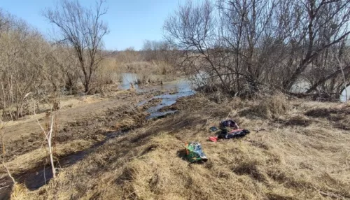 В Новосибирской области 12-летняя девочка утонула в реке на глазах у очевидцев
