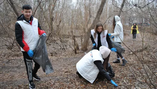 Барнаульские единороссы вместе с горожанами очистили от мусора парк имени Ленина