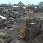 Барнаульцы жалуются на несанкционированные свалки около домов