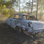 В Алтайском крае двое мужчин сгорели в автомобиле Chevrolet