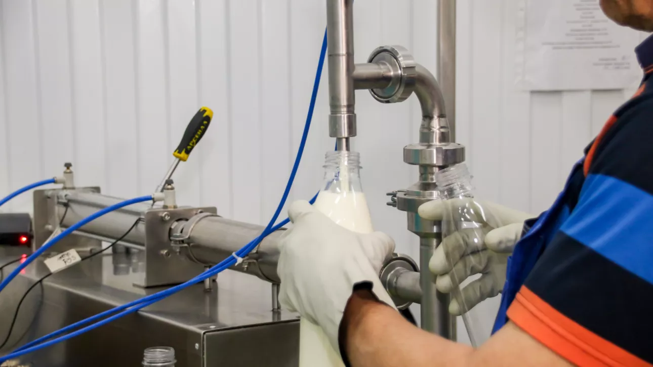 Прибыль – вниз: сколько заработали крупные производители молочки в Алтайском крае