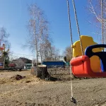 В Барнауле 67-летний пенсионер совратил игравшую во дворе девочку