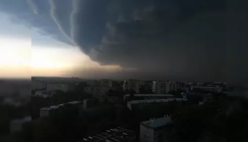 Климат в Алтайском крае к 2050 году серьезно поменяется