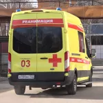 В Барнауле при падении с десятого этажа погибла 15-летняя девочка