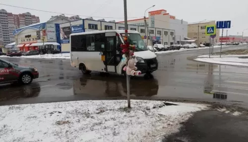 В Барнауле сбивший девочку водитель маршрутки получил три года колонии