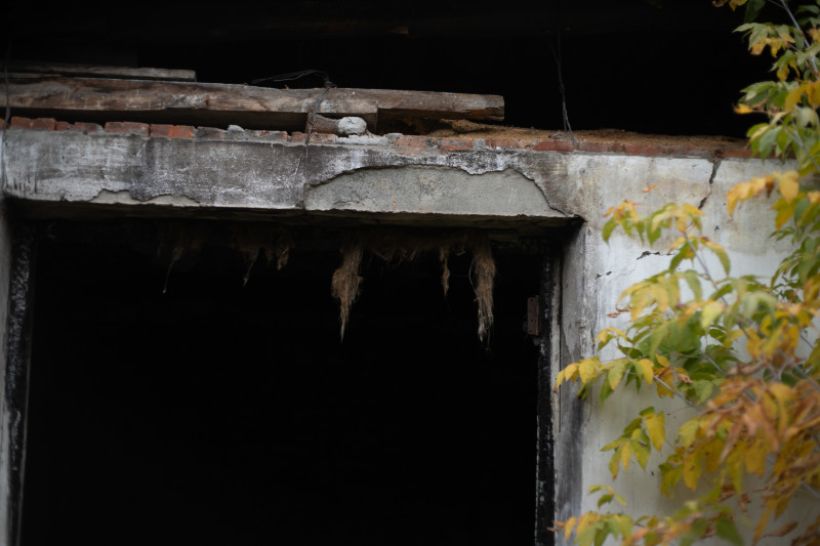  Фото:Анна Меньшикова