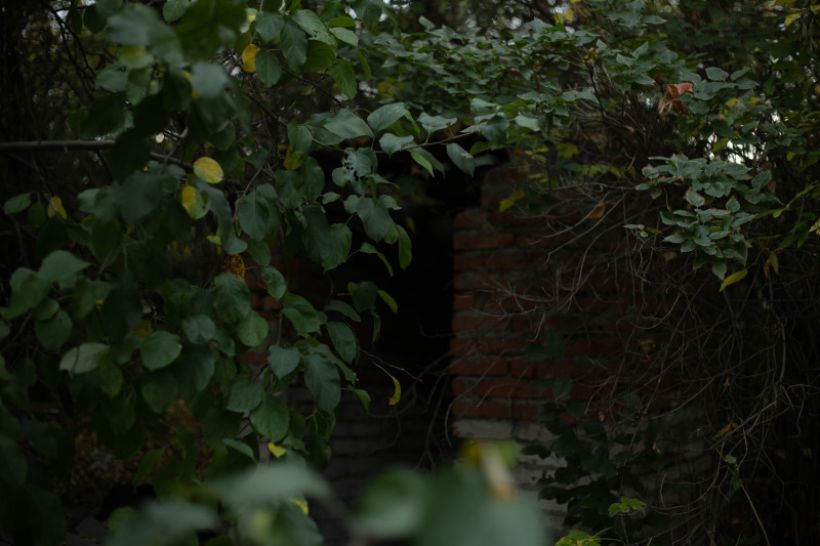  Фото:Анна Меньшикова