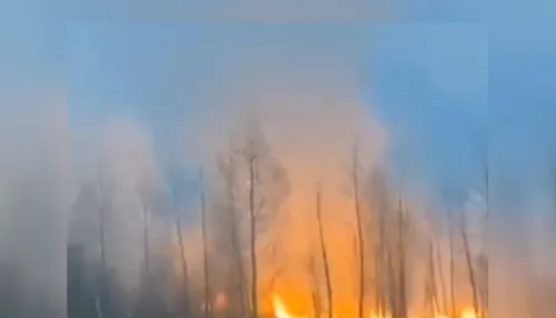 На трассе Бийск – Барнаул произошел сильный пожар вдоль дороги