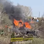 В Барнауле загорелось садоводство из-за поджога травы