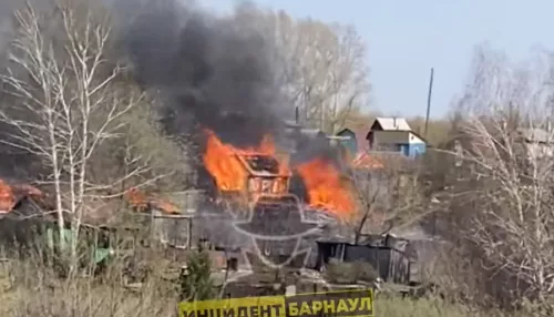 В Барнауле загорелось садоводство из-за поджога травы