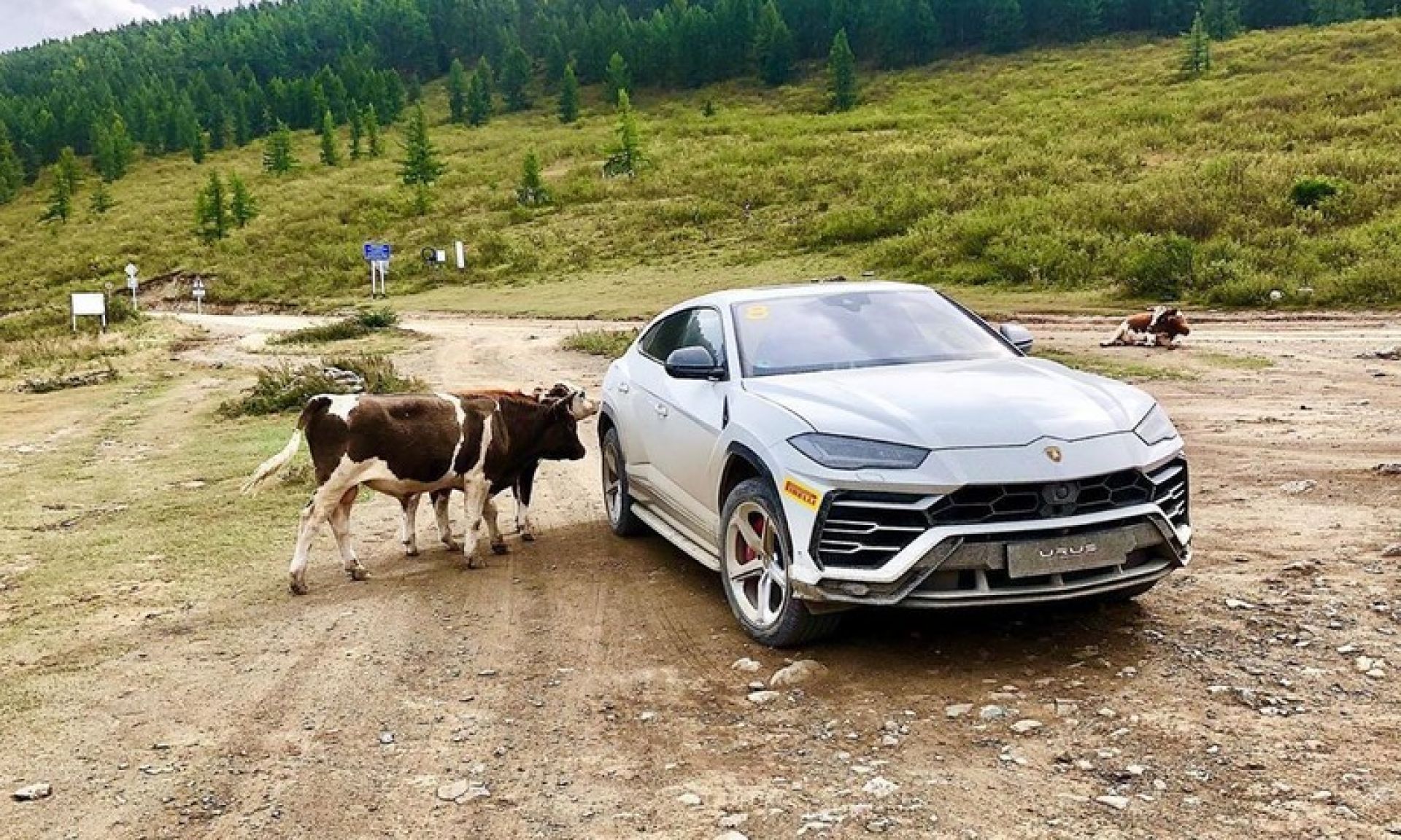 Фото рекламы Lamborghini в горах Алтая появились в Сети - Толк 29.09.2019