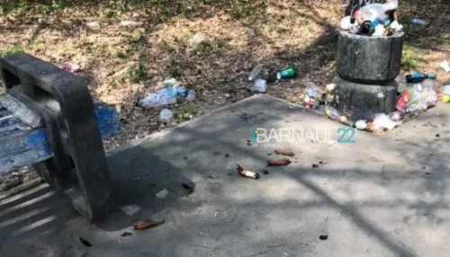 Что-то ужасное: барнаульцы жалуются на заваленную мусором аллею Целинников