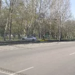В Барнауле легковушка перелетела через трамвайные пути и угодила в дерево