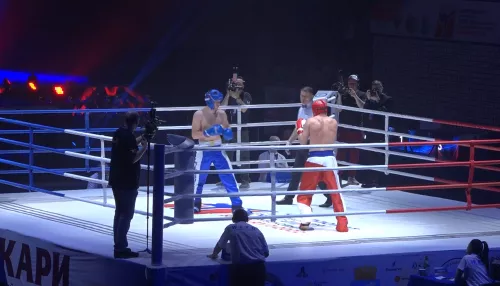 В Барнауле завершился чемпионат и первенство России по кикбоксингу