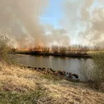 В Барнауле горят поля за Новым мостом в районе Затона