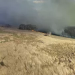 Лесной пожар бушует рядом с селом в Ключевском районе