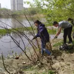 В Барнауле снова очистили от мусора берег озера на улице Гущина