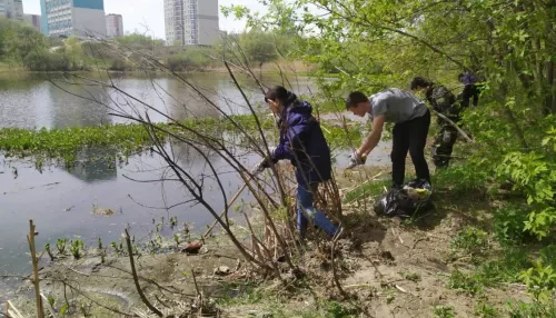 В Барнауле снова очистили от мусора берег озера на улице Гущина