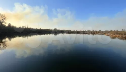 В Фирсово участок Поле чудес с озером продают за 81 млн рублей