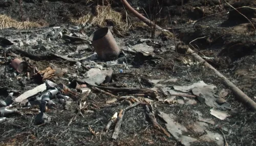 В Алтайском крае за майские праздники произошло более тысячи пожаров