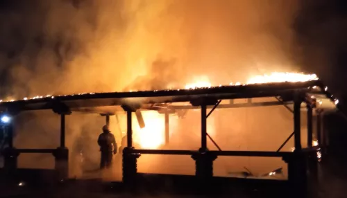В МЧС региона назвали вероятную причину пожара в парке Эдельвейс
