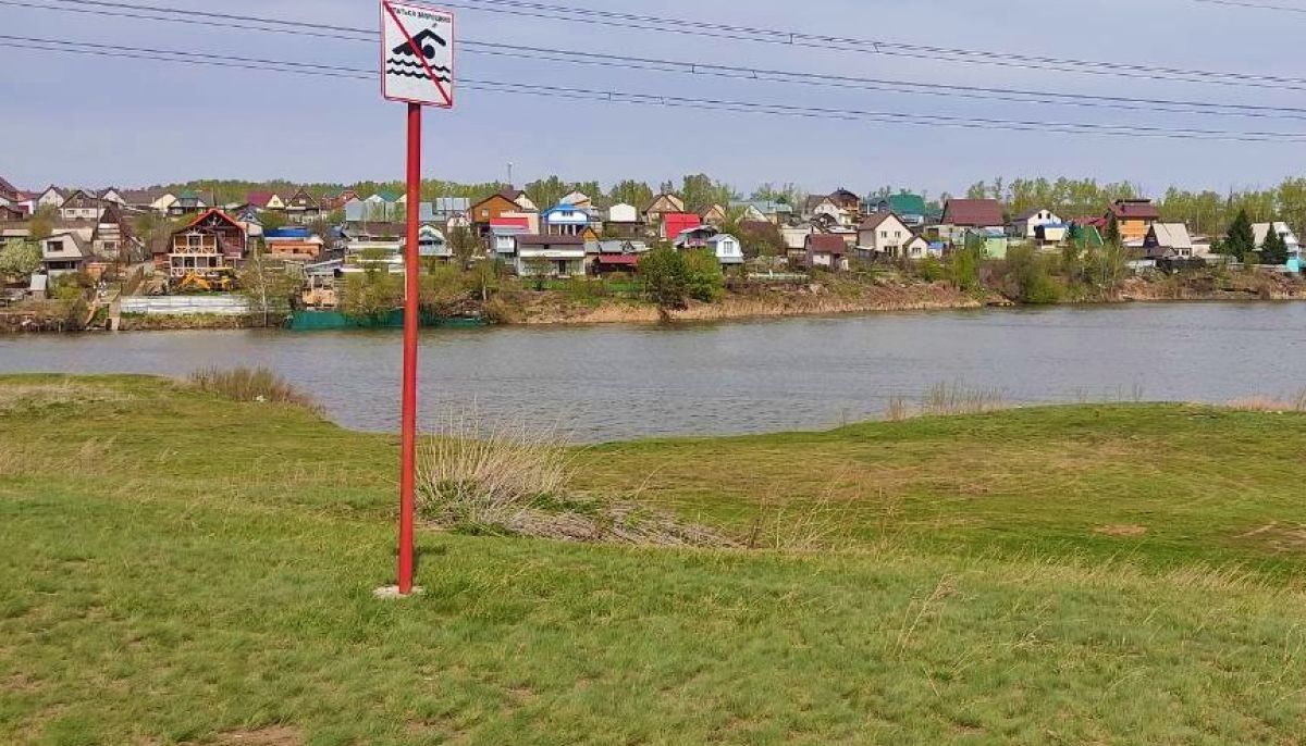 Где купаться в барнауле 2024. Пруд шахи барнаул. Ближайшее озеро для купания. Водоемы в барнауле для купания. Остров помазкин барнаул.