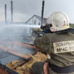 Пятеро детей и десять взрослых спасли при пожаре в Барнауле