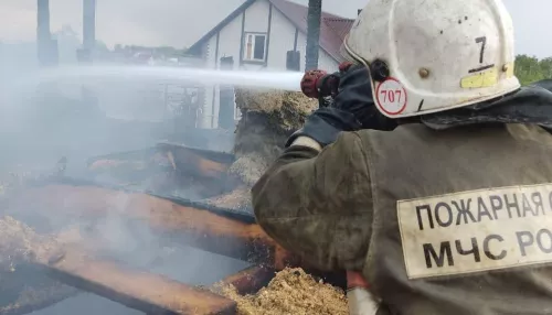 Пятеро детей и десять взрослых спасли при пожаре в Барнауле