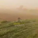 Во время работы на полях Топчихинского района люди попали в пылевую бурю