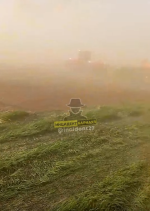 Пылевая буря в Топчихинском районе