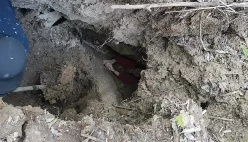 В алтайском районе пропавшую пенсионерку спасли из расщелины у Оби
