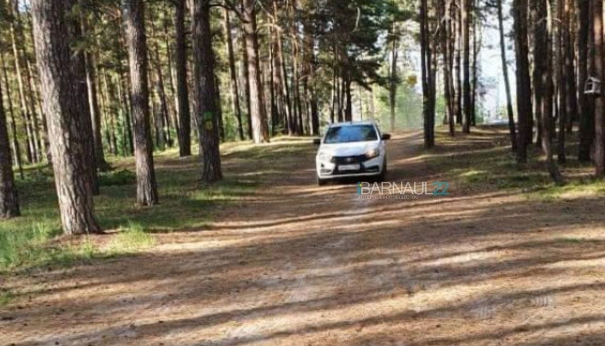 Барнаульцы недовольны, что автомобили объезжают пробки по лесу - Толк  24.05.2022