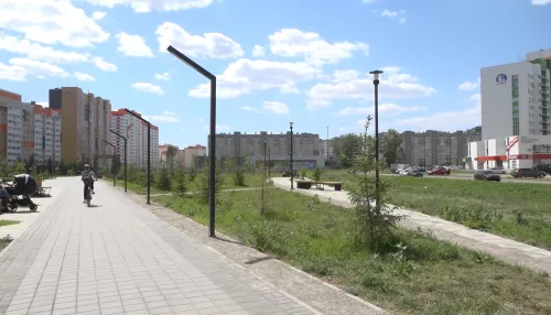 В Барнауле долгожданный сквер на Ускова – Взлетной зарастает и увядает