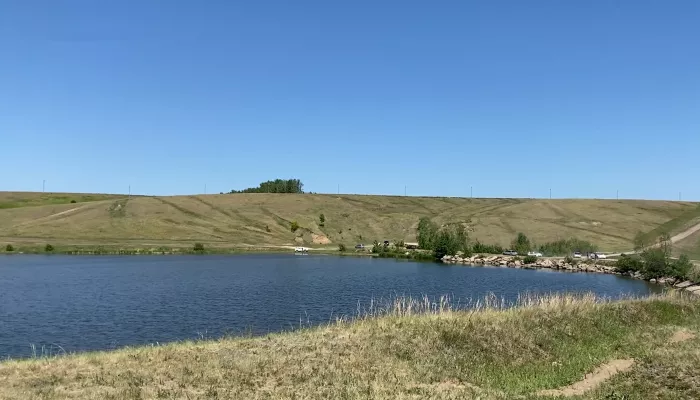В заросшее озеро в Павловском районе запустили мальков
