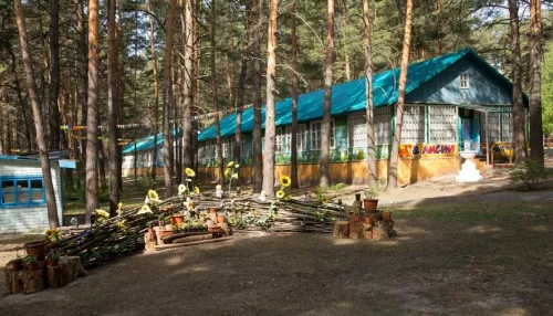 В Барнауле начали приемку детских загородных лагерей