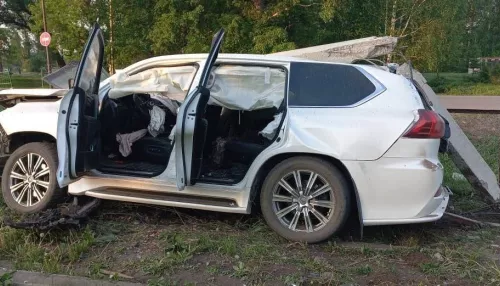 Браконьеры на Lexus слетели в кювет в алтайском районе