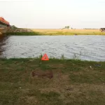 В Новосибирской области молодой мужчина утонул в реке вместе с автомобилем